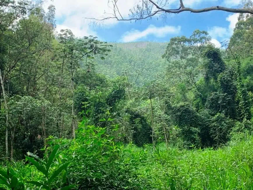 Chácara à venda, 994000m2 em Aparecida - SP - imagem 10 Foto 10 de Chácara à venda, 994000m2 em Aparecida - SP