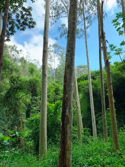 Foto 19 de Chácara à venda, 994000m2 em Aparecida - SP