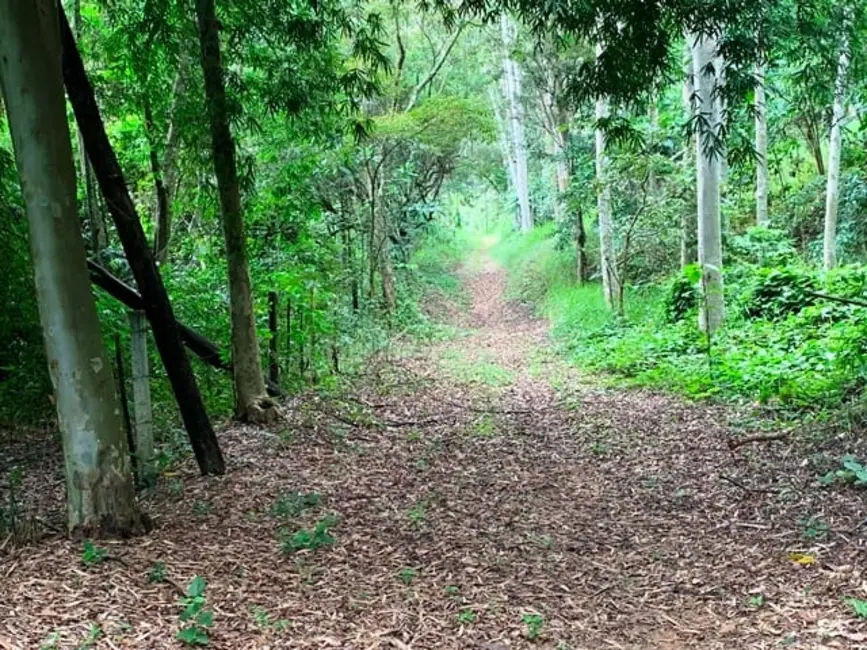 Chácara à venda, 994000m2 em Aparecida - SP - imagem 12 Foto 12 de Chácara à venda, 994000m2 em Aparecida - SP