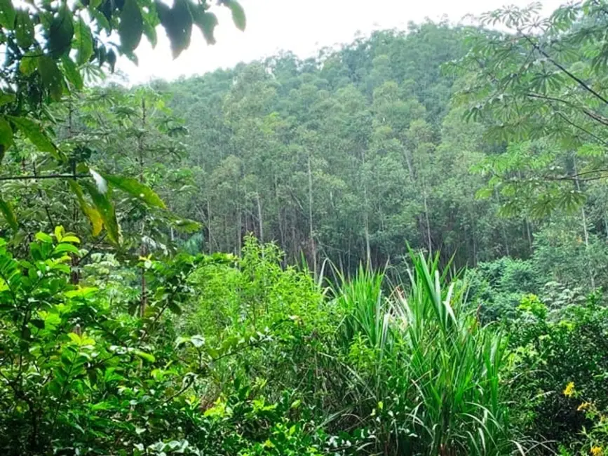 Chácara à venda, 994000m2 em Aparecida - SP - imagem 16 Foto 16 de Chácara à venda, 994000m2 em Aparecida - SP