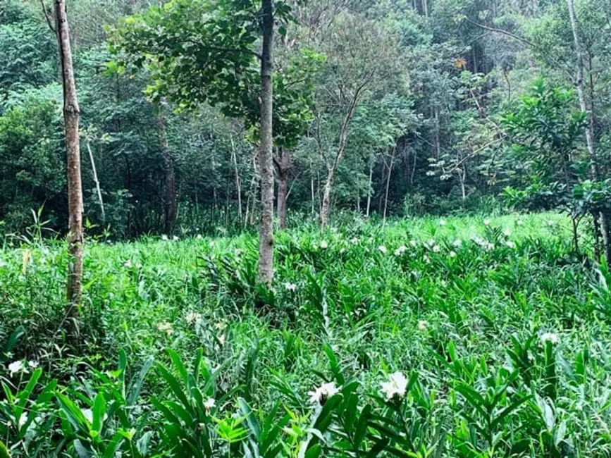 Chácara à venda, 994000m2 em Aparecida - SP - imagem 11 Foto 11 de Chácara à venda, 994000m2 em Aparecida - SP