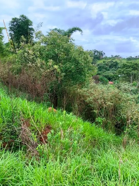 Foto 12 de Chácara à venda, 1667m2 em Goiabal, Pindamonhangaba - SP