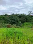 Imagem 4