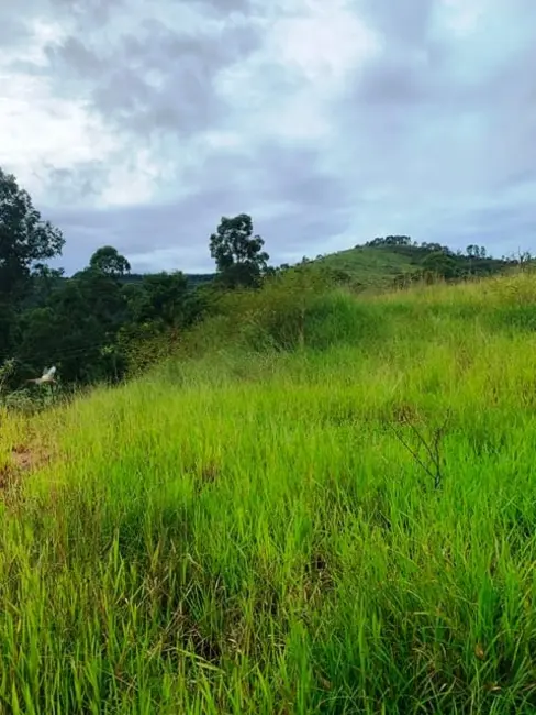 Foto 10 de Chácara à venda, 1667m2 em Goiabal, Pindamonhangaba - SP