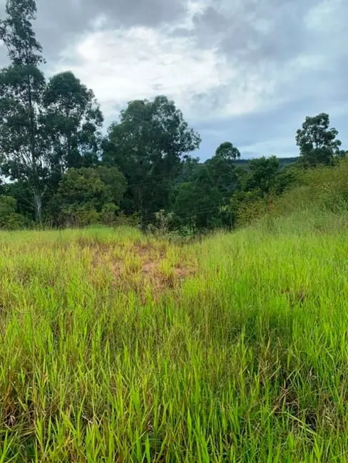 Foto 11 de Chácara à venda, 1667m2 em Goiabal, Pindamonhangaba - SP