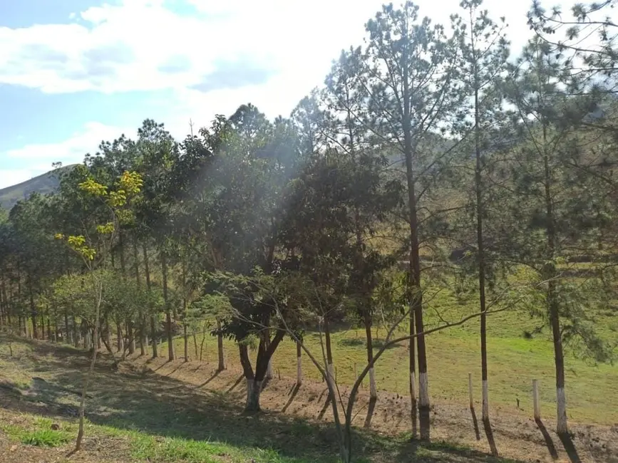 Foto 4 de Sítio / Rancho com 3 quartos à venda, 108000m2 em Sao Jose Dos Campos - SP