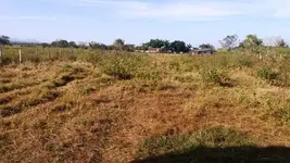 Imagem 6