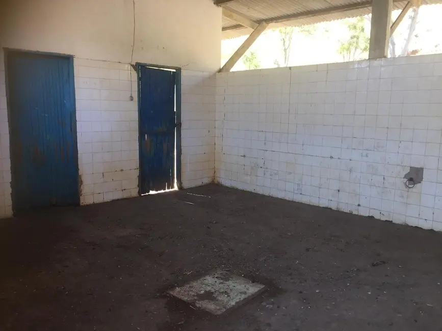Foto 2 de Sítio / Rancho com 3 quartos à venda, 266200m2 em Cruzeiro - SP