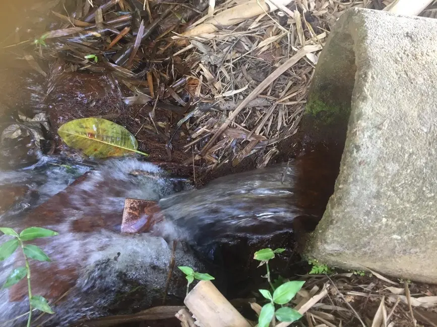 Sítio / Rancho com 3 quartos à venda, 266200m2 em Cruzeiro - SP - imagem 6 Foto 6 de Sítio / Rancho com 3 quartos à venda, 266200m2 em Cruzeiro - SP