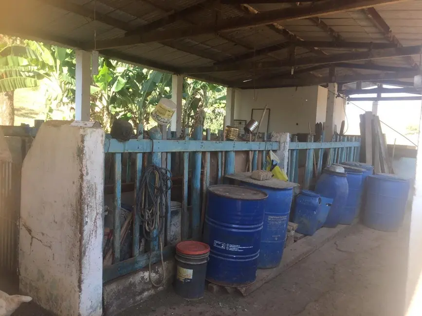 Sítio / Rancho com 3 quartos à venda, 266200m2 em Cruzeiro - SP - imagem 3 Foto 3 de Sítio / Rancho com 3 quartos à venda, 266200m2 em Cruzeiro - SP