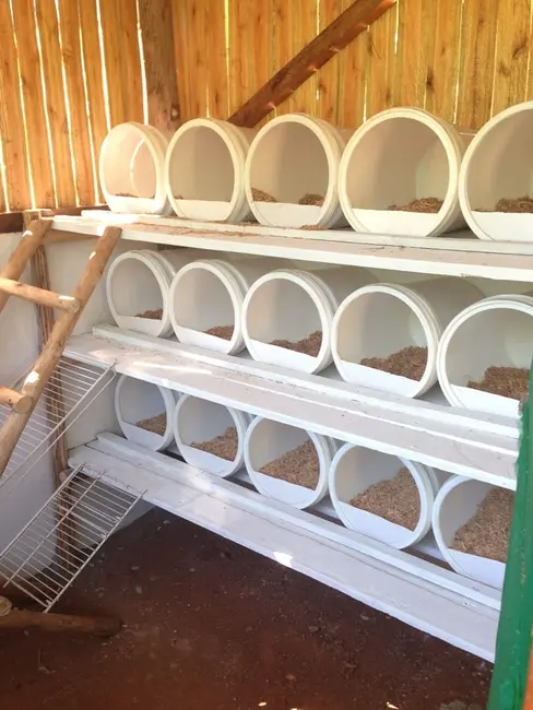 Foto 64 de Chácara à venda, 726000m2 em Silveiras - SP