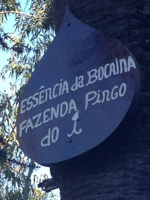 Foto 32 de Chácara à venda, 726000m2 em Silveiras - SP