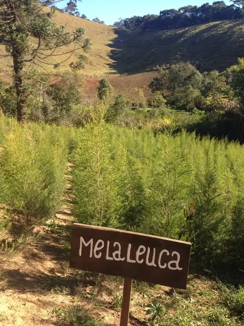 Foto 30 de Chácara à venda, 726000m2 em Silveiras - SP