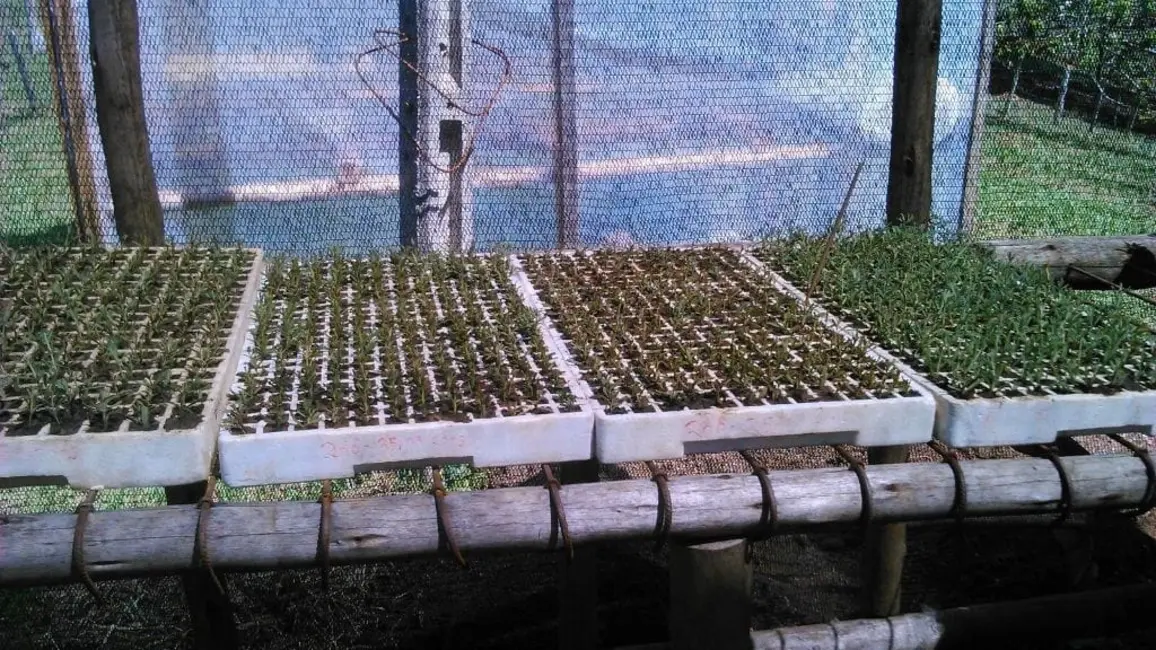 Foto 37 de Chácara à venda, 726000m2 em Silveiras - SP