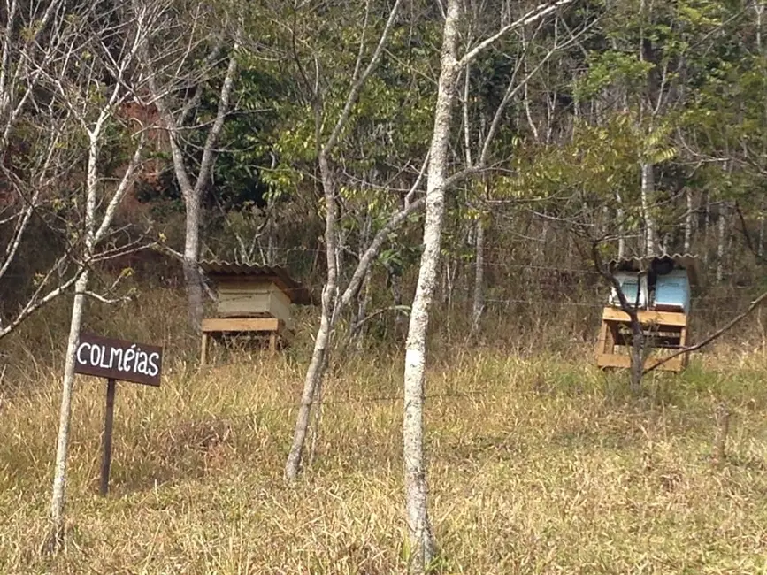 Foto 41 de Chácara à venda, 726000m2 em Silveiras - SP