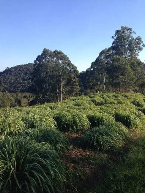 Foto 63 de Chácara à venda, 726000m2 em Silveiras - SP