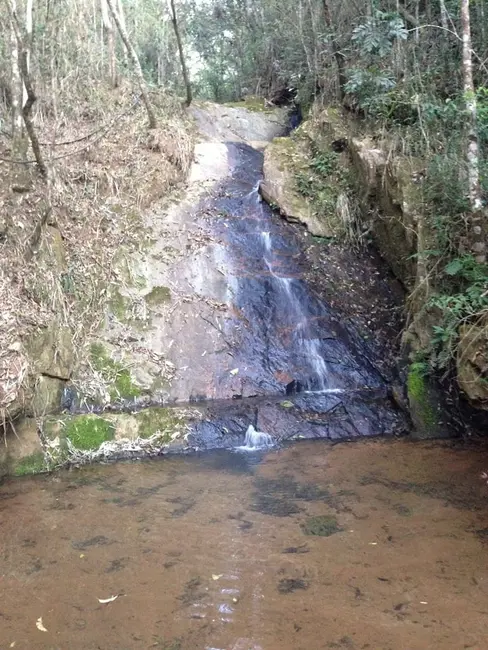 Foto 33 de Chácara à venda, 726000m2 em Silveiras - SP