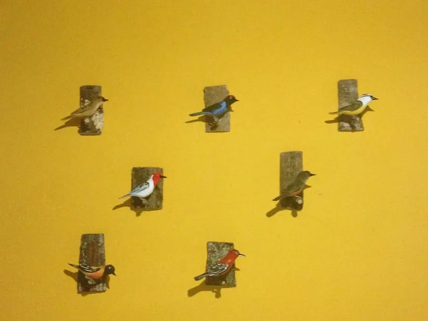 Foto 73 de Chácara à venda, 726000m2 em Silveiras - SP