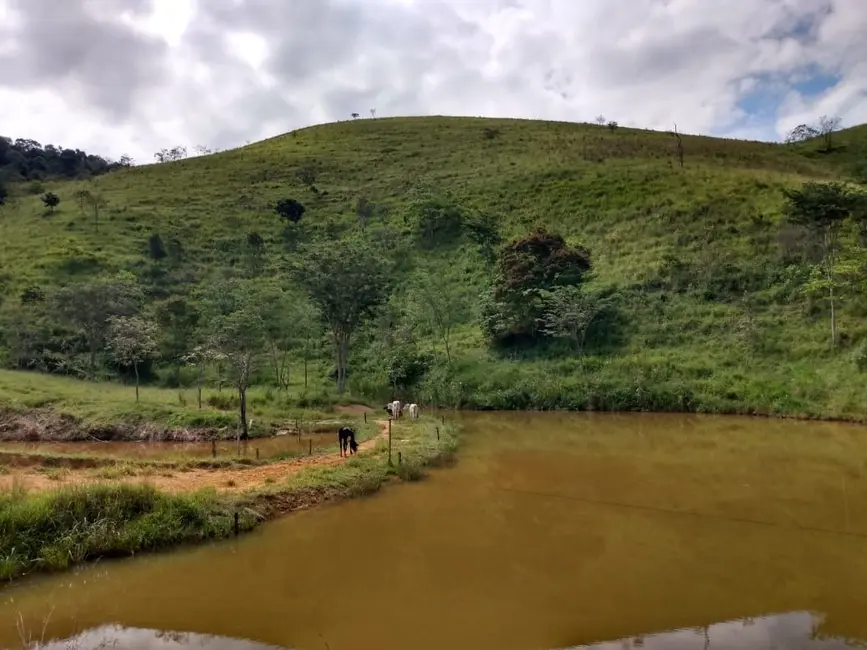 Sítio / Rancho com 2 quartos à venda, 135000m2 em Piquete - SP - imagem 5 Foto 5 de Sítio / Rancho com 2 quartos à venda, 135000m2 em Piquete - SP