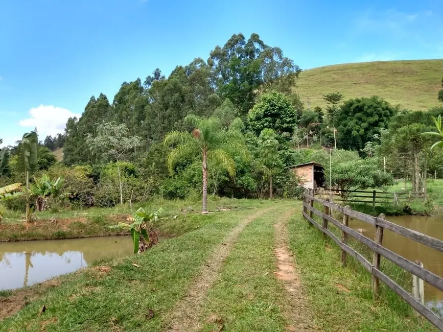 Sítio / Rancho com 2 quartos à venda, 135000m2 em Piquete - SP - imagem 3 Foto 3 de Sítio / Rancho com 2 quartos à venda, 135000m2 em Piquete - SP