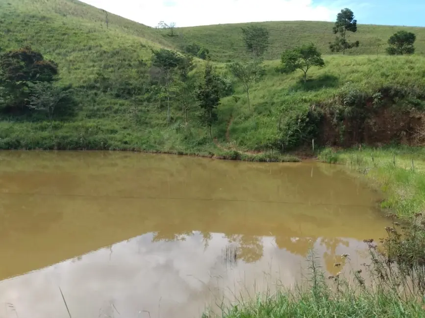 Sítio / Rancho com 2 quartos à venda, 135000m2 em Piquete - SP - imagem 4 Foto 4 de Sítio / Rancho com 2 quartos à venda, 135000m2 em Piquete - SP