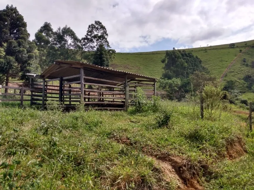Foto 2 de Sítio / Rancho com 2 quartos à venda, 135000m2 em Piquete - SP