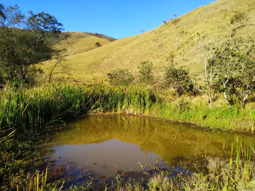 Foto 8 de Sítio / Rancho com 3 quartos à venda, 36000m2 em Cunha - SP