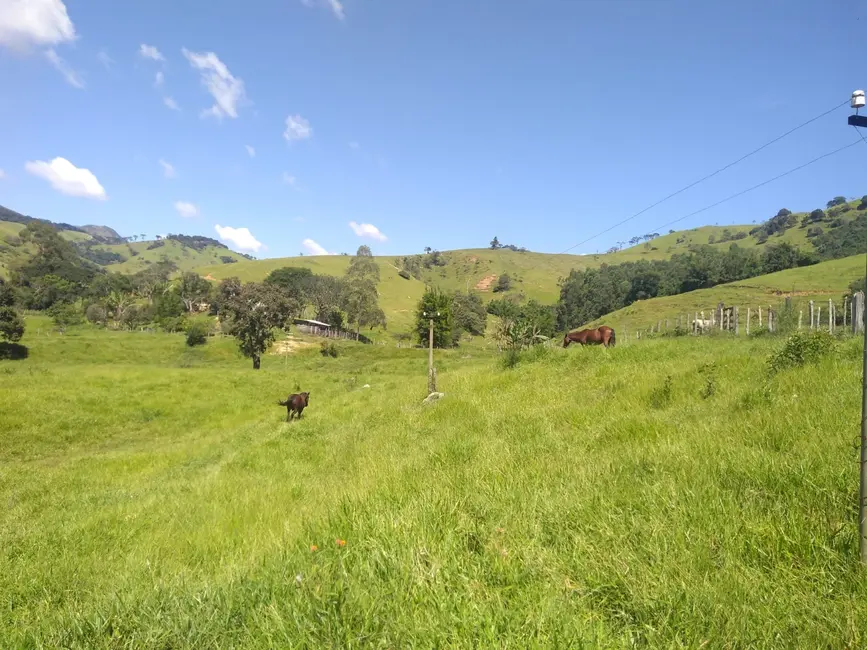 Foto 8 de Sítio / Rancho com 2 quartos à venda, 768000m2 em Cunha - SP