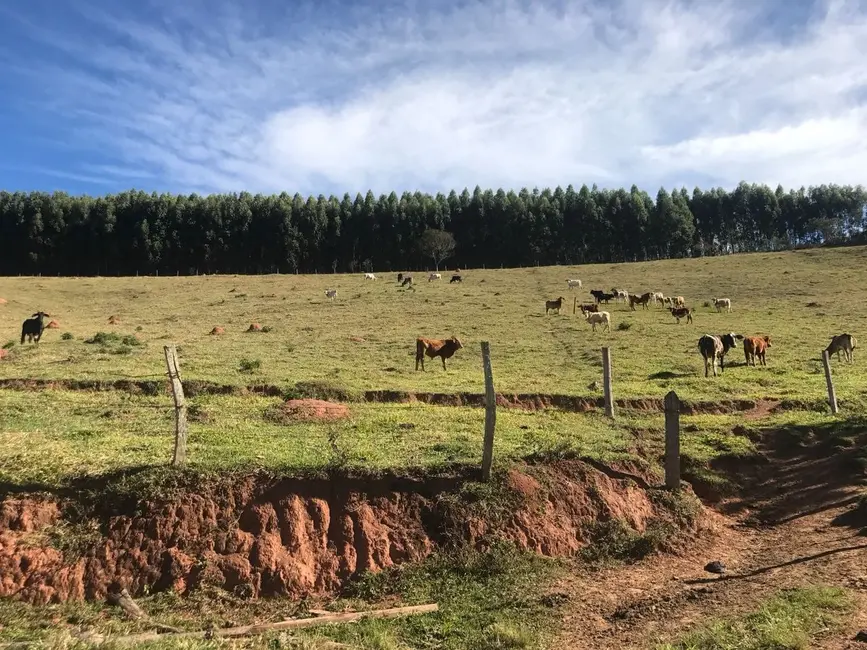 Foto 3 de Sítio / Rancho com 3 quartos à venda, 157000m2 em Cunha - SP