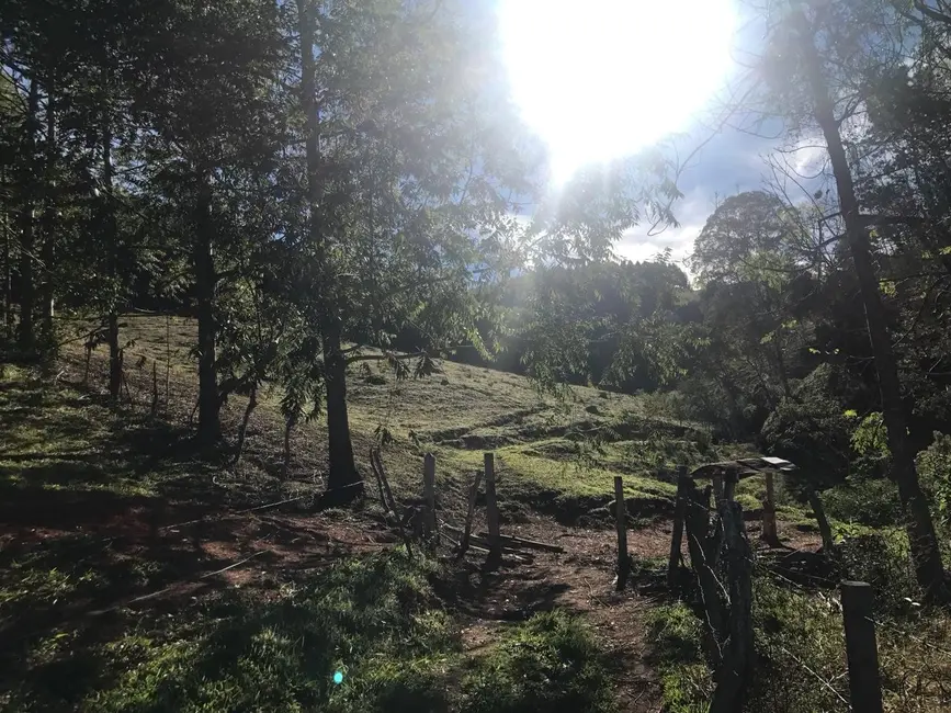 Foto 4 de Sítio / Rancho com 3 quartos à venda, 157000m2 em Cunha - SP
