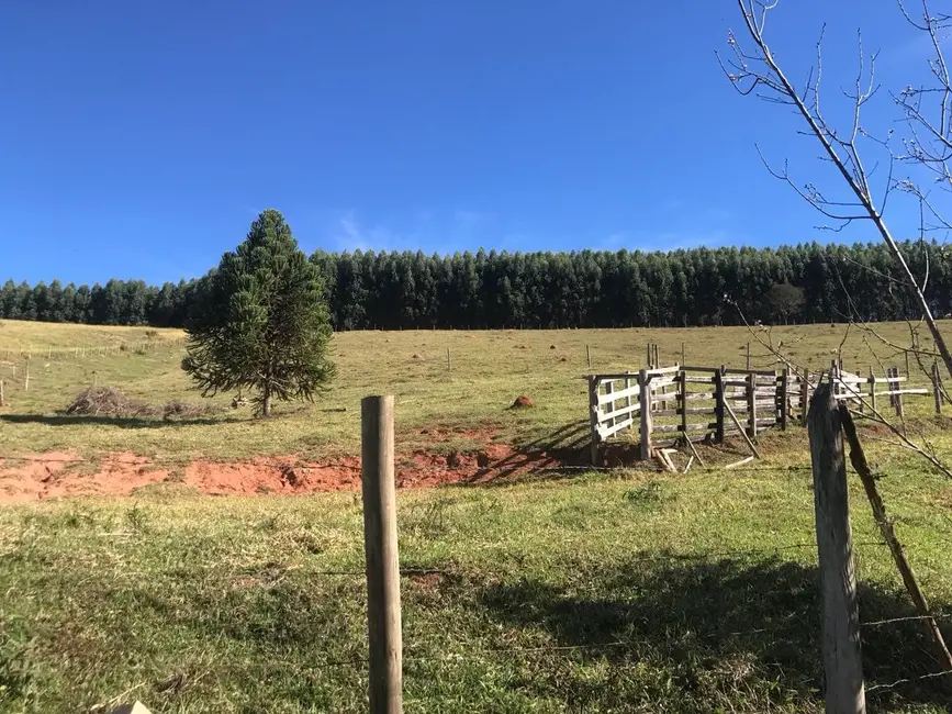 Foto 8 de Sítio / Rancho com 3 quartos à venda, 157000m2 em Cunha - SP