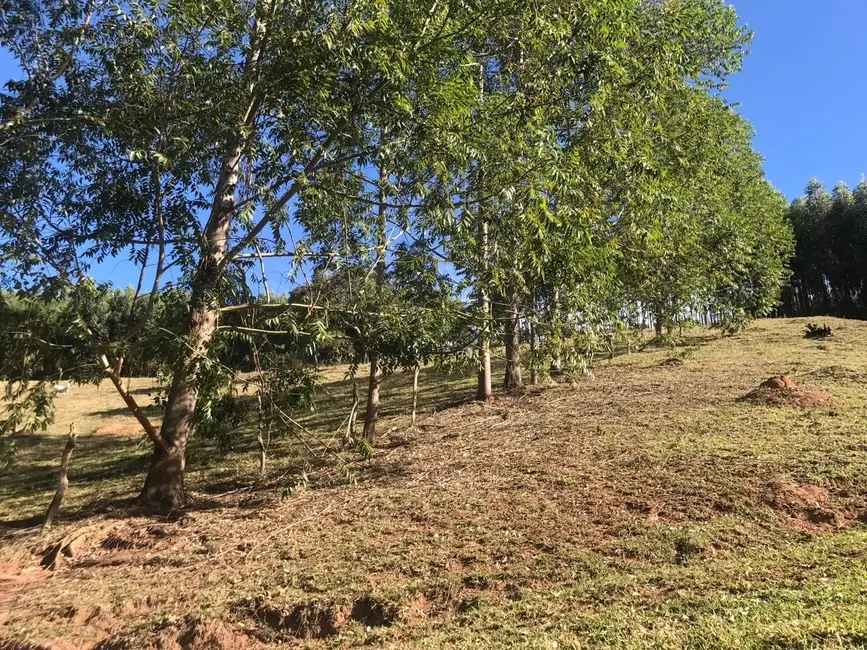 Foto 1 de Sítio / Rancho com 3 quartos à venda, 157000m2 em Cunha - SP