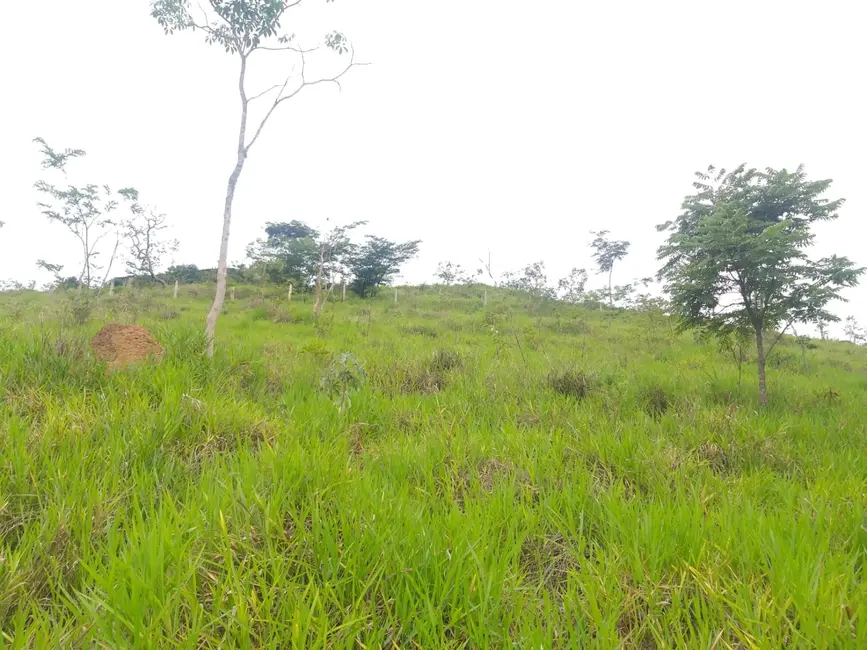 Foto 5 de Chácara com 2 quartos à venda, 50m2 em Borba, Pindamonhangaba - SP