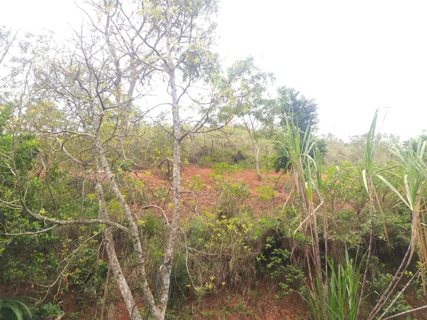 Foto 8 de Chácara com 2 quartos à venda, 50m2 em Borba, Pindamonhangaba - SP