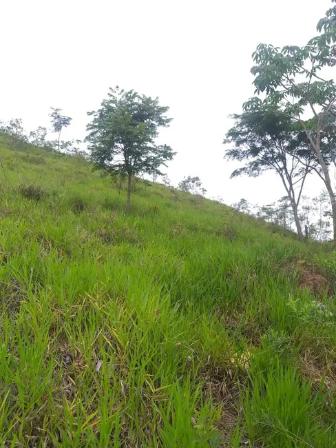 Foto 2 de Chácara com 2 quartos à venda, 50m2 em Borba, Pindamonhangaba - SP