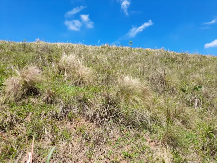 Foto 6 de Chácara à venda, 20000m2 em Mandú, Pindamonhangaba - SP