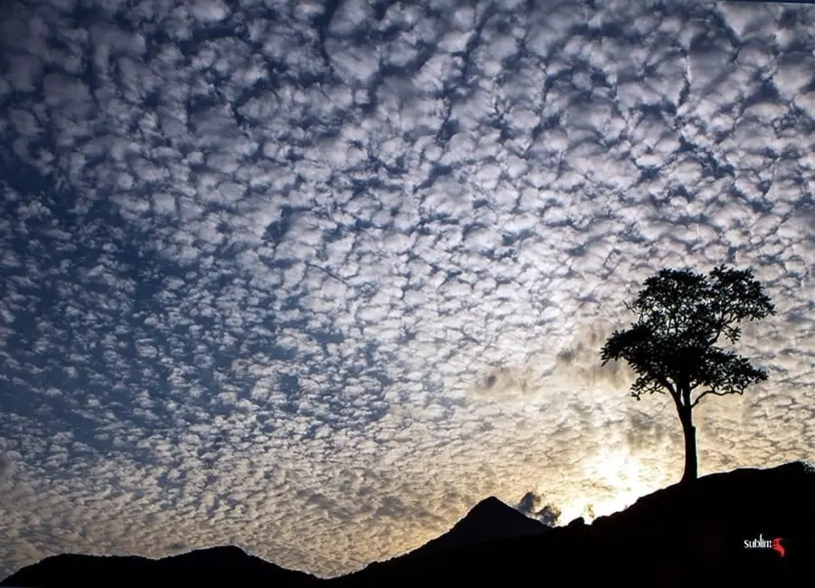 Chácara com 9 quartos à venda, 480m2 em Guaratingueta - SP - imagem 5 Foto 5 de Chácara com 9 quartos à venda, 480m2 em Guaratingueta - SP