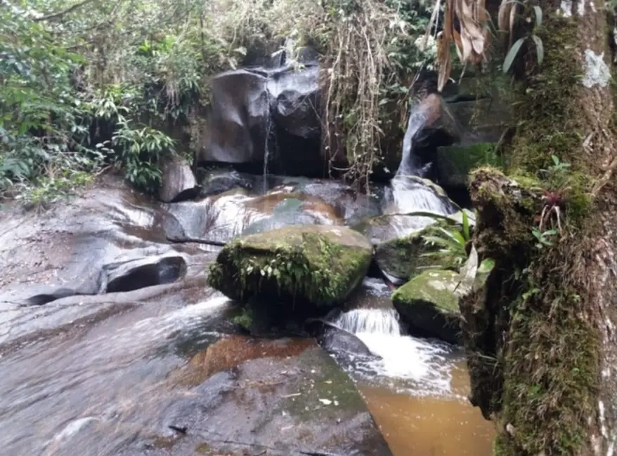Sítio / Rancho com 2 quartos à venda, 170000m2 em Paraibuna - SP - imagem 6 Foto 6 de Sítio / Rancho com 2 quartos à venda, 170000m2 em Paraibuna - SP