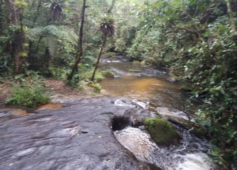Sítio / Rancho com 2 quartos à venda, 170000m2 em Paraibuna - SP - imagem 7 Foto 7 de Sítio / Rancho com 2 quartos à venda, 170000m2 em Paraibuna - SP