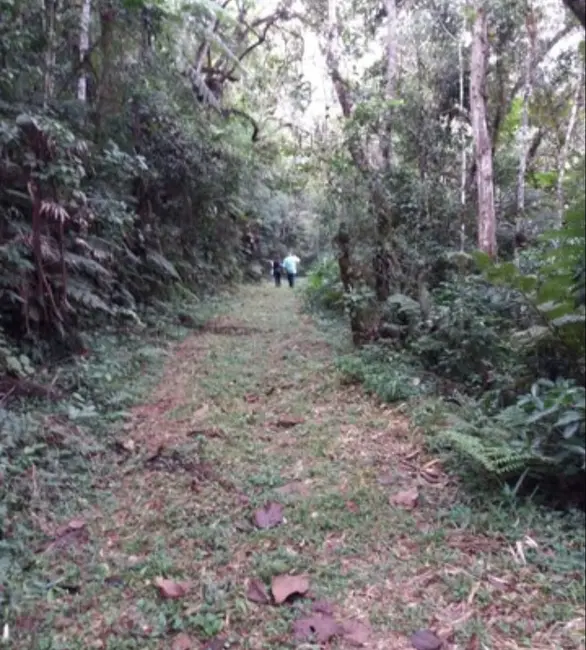 Sítio / Rancho com 2 quartos à venda, 170000m2 em Paraibuna - SP - imagem 3 Foto 3 de Sítio / Rancho com 2 quartos à venda, 170000m2 em Paraibuna - SP