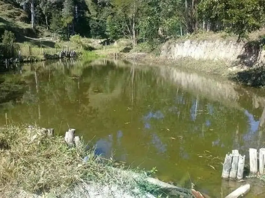 Foto 8 de Sítio / Rancho com 4 quartos à venda em Natividade Da Serra - SP