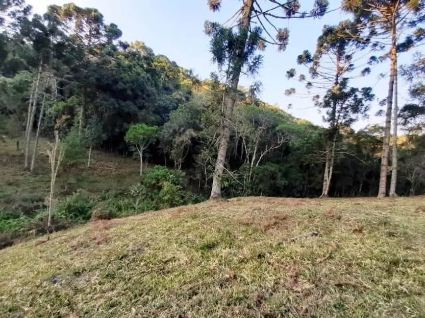 Foto 8 de Sítio / Rancho à venda, 170000m2 em Cunha - SP