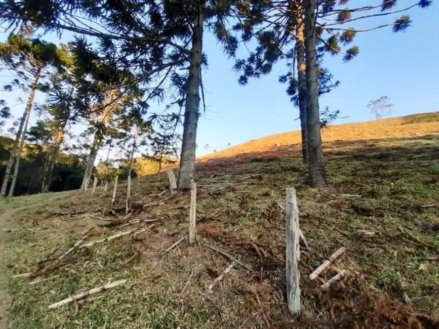 Foto 5 de Sítio / Rancho à venda, 170000m2 em Cunha - SP
