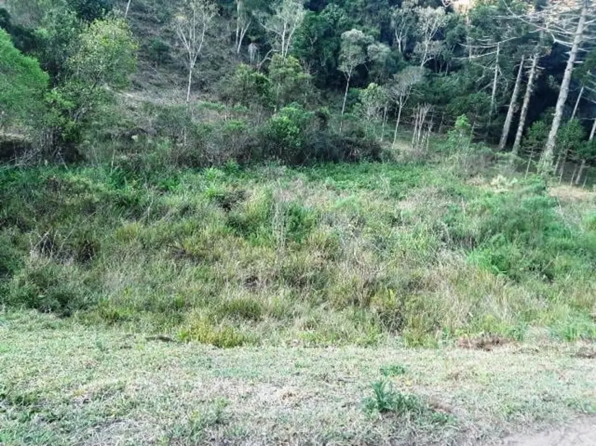 Foto 3 de Sítio / Rancho à venda, 170000m2 em Cunha - SP
