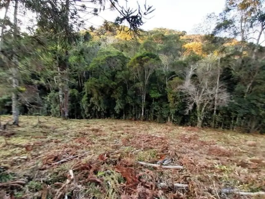 Foto 1 de Sítio / Rancho à venda, 170000m2 em Cunha - SP
