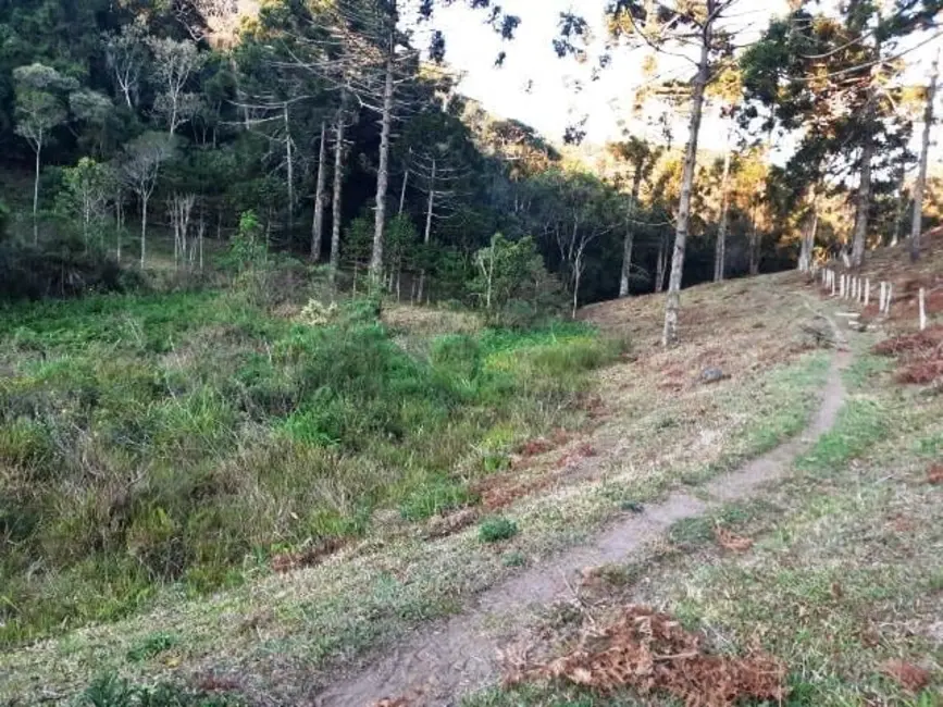 Foto 2 de Sítio / Rancho à venda, 170000m2 em Cunha - SP
