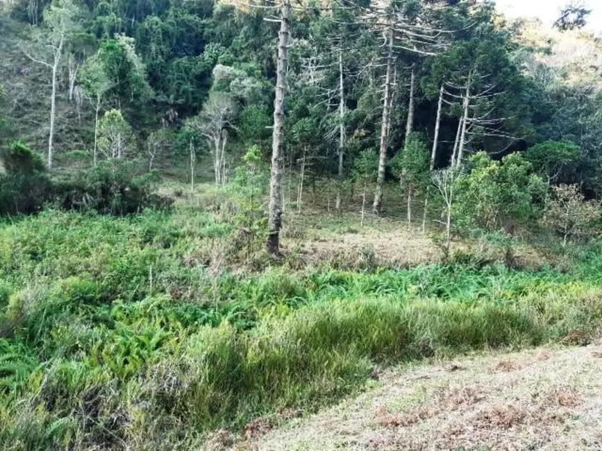 Foto 4 de Sítio / Rancho à venda, 170000m2 em Cunha - SP