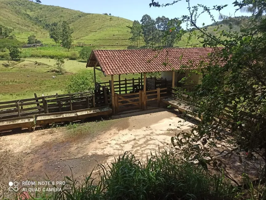 Sítio / Rancho com 2 quartos à venda, 290400m2 em Pindamonhangaba - SP - imagem 3 Foto 3 de Sítio / Rancho com 2 quartos à venda, 290400m2 em Pindamonhangaba - SP