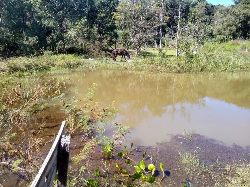 Foto 8 de Chácara à venda, 4000m2 em Bosque dos Ipês, Guaratingueta - SP