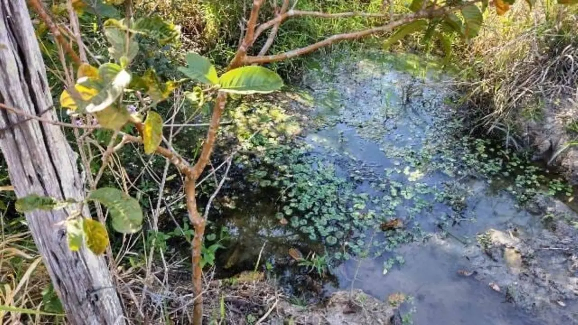Foto 8 de Chácara com 1 quarto à venda, 12850m2 em Borba, Pindamonhangaba - SP